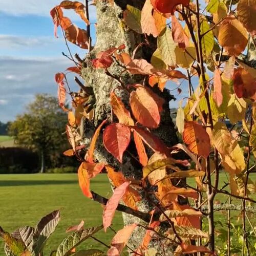 Planwagenfahrt im Herbst 🍂☀️
Auch im Herbst gibt’s bei uns v...